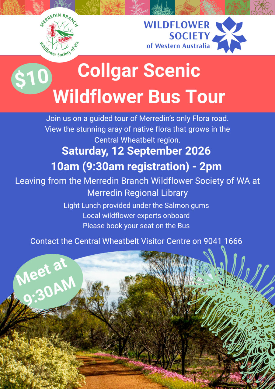 Collgar Scenic Wildflower Tour