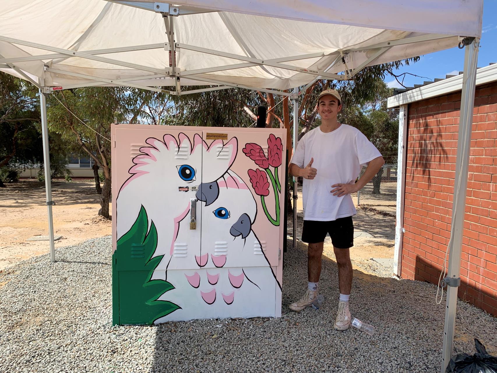 Merredin’s Power Boxes Receive Face Lift From Local Youth