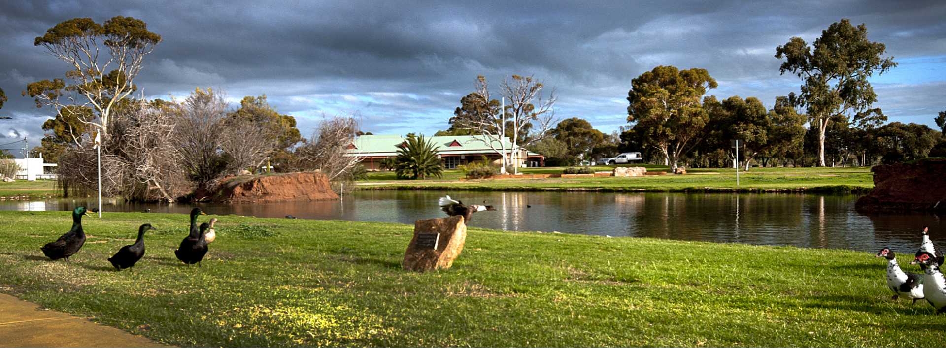 Ranger Services » Shire of Merredin